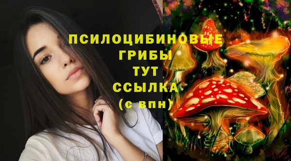 прущие крисы Гусь-Хрустальный