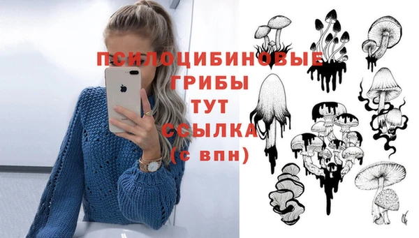 тгк Гусиноозёрск