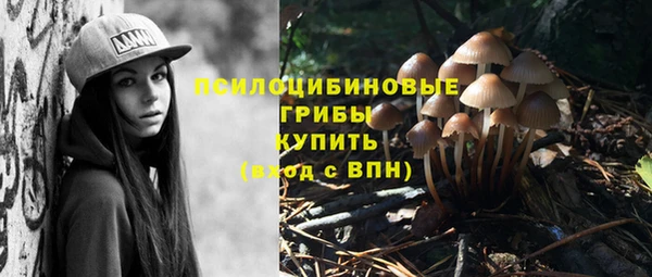 тгк Гусиноозёрск