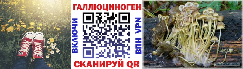 Галлюциногенные грибы Magic Shrooms  Каспийск 